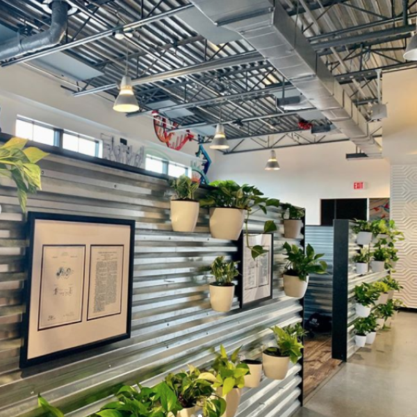 LEVO-Health-Tampa-Office-Living-Wall